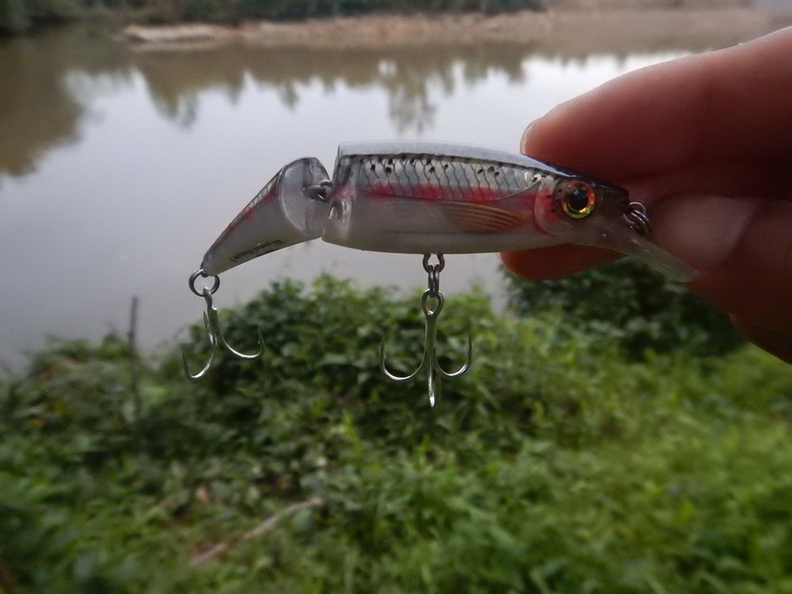 
Rapala bx-jointed minnow 8  :cheer: :cheer: :cheer: :cheer: :cheer: