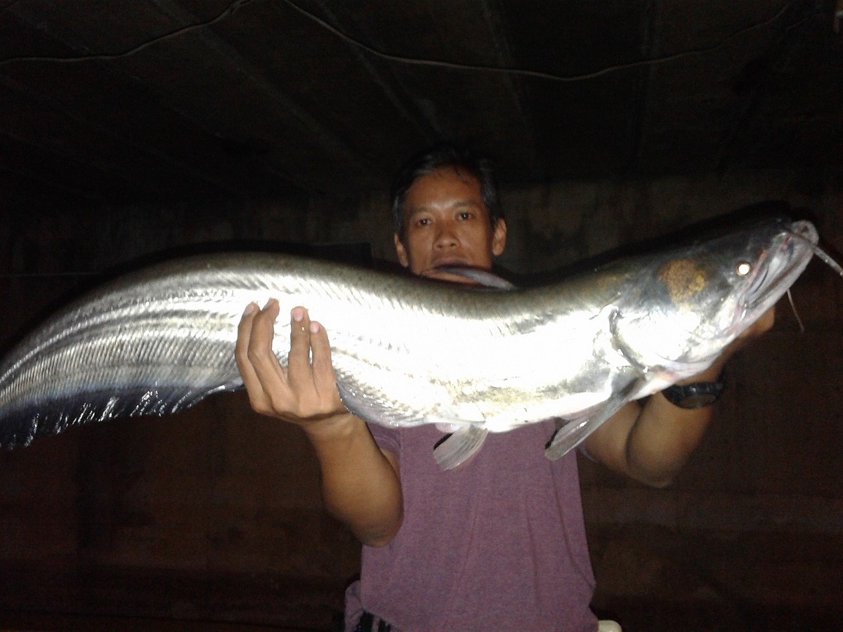Night fishing สัตว์ประหลาดแม่น้ำท่าจีน