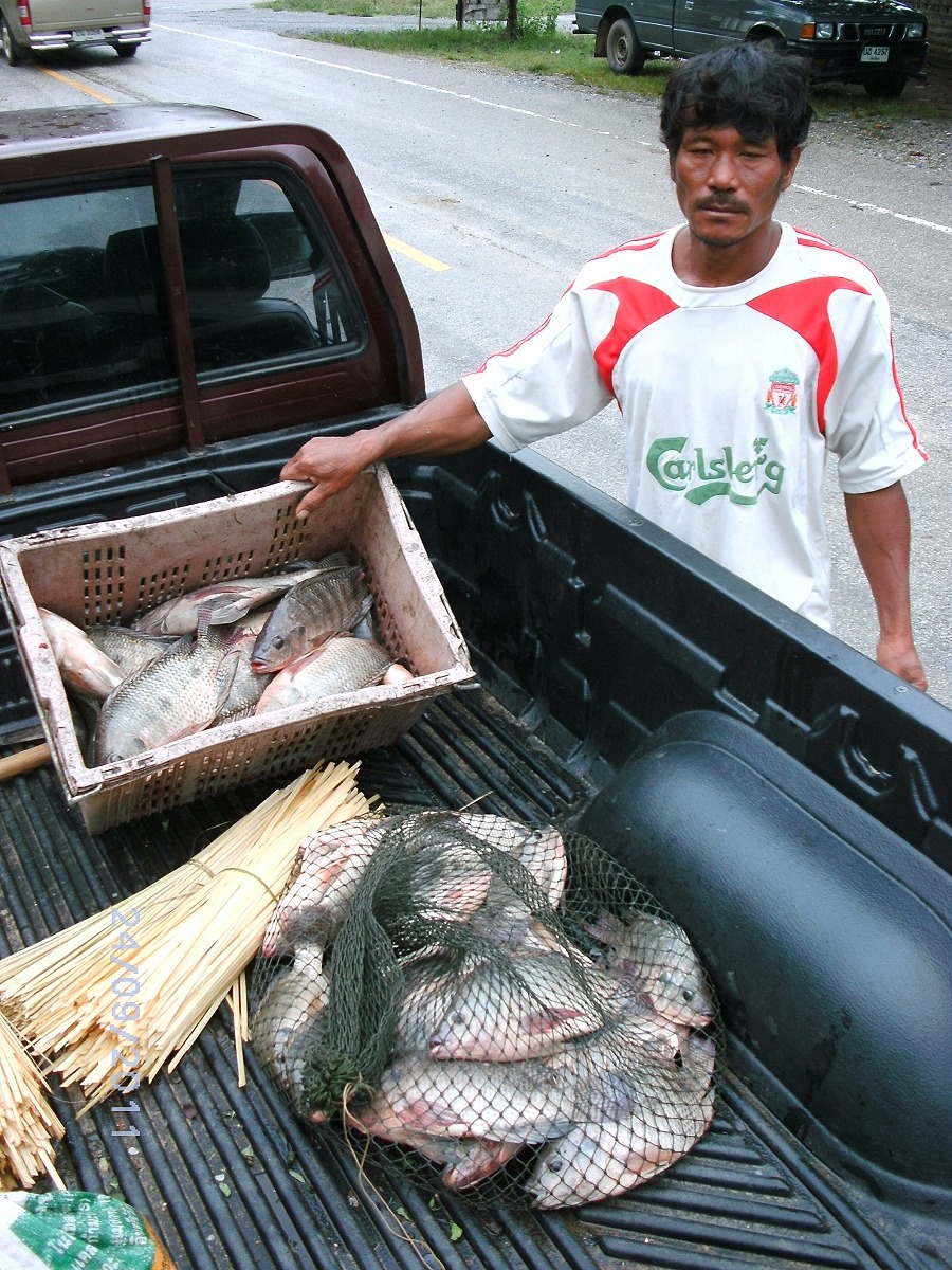 นี่ครับ ลุงที่ว่า ตกปลาซื้อรถกระบะเลย ถามได้ความว่า เอาตอกไปส่งมันของเเล้วเอาปลาไปส่งตลาดทุกวัน มีคน