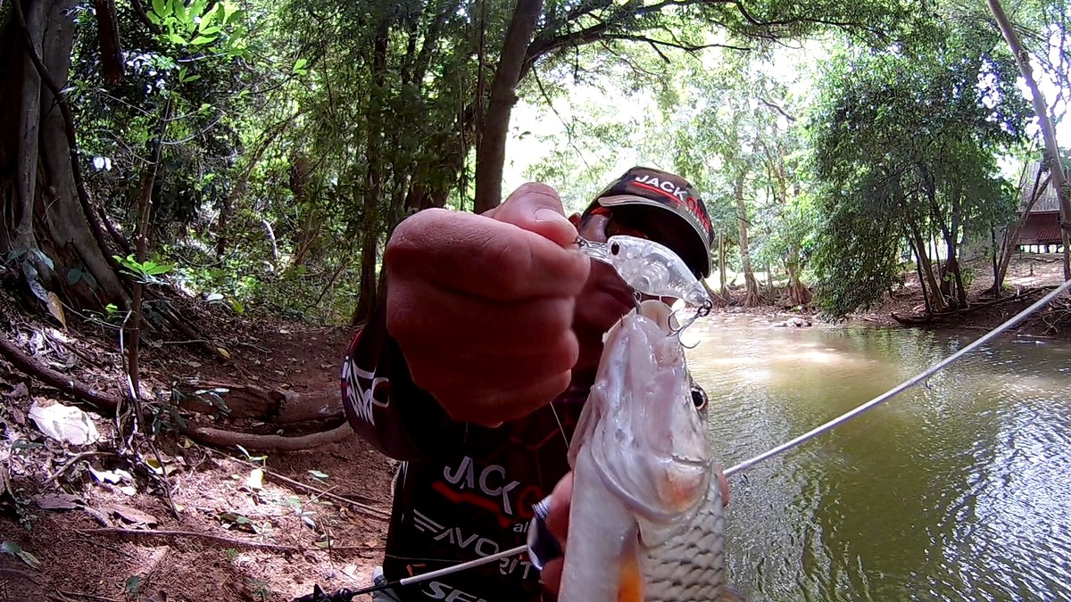 แน่นอนมากๆๆครับ FISH ART    "FAT BOY"

มันตอบโจทย์ ตัวซุ่มเงามืดในลำน้ำได้เป็นอย่างดี ถือว่าเป็นเห