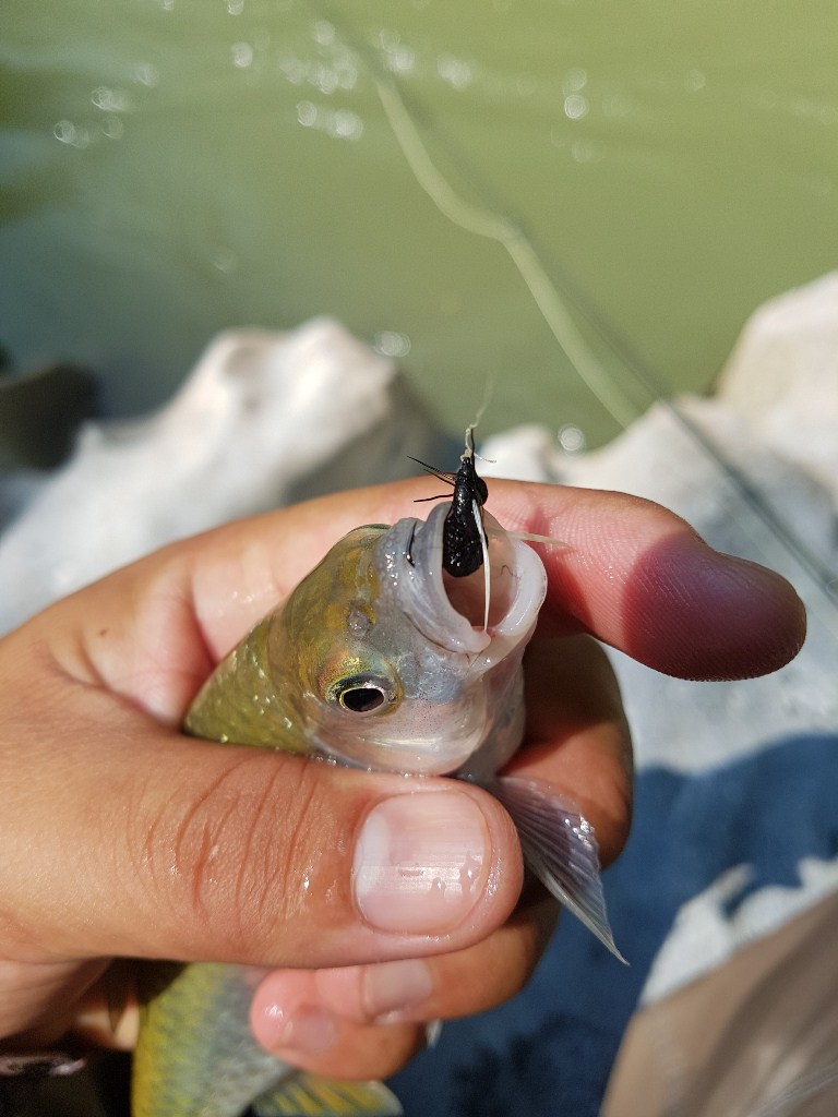 วิธีการใช้ก็ตีตกแปะให้ลอยไปตามน้ำแบบ dry fly 
หรือเน้นจังหวะตกแปะ รอซักพัก ไม่กินก็ตีใหม่  

อย่า