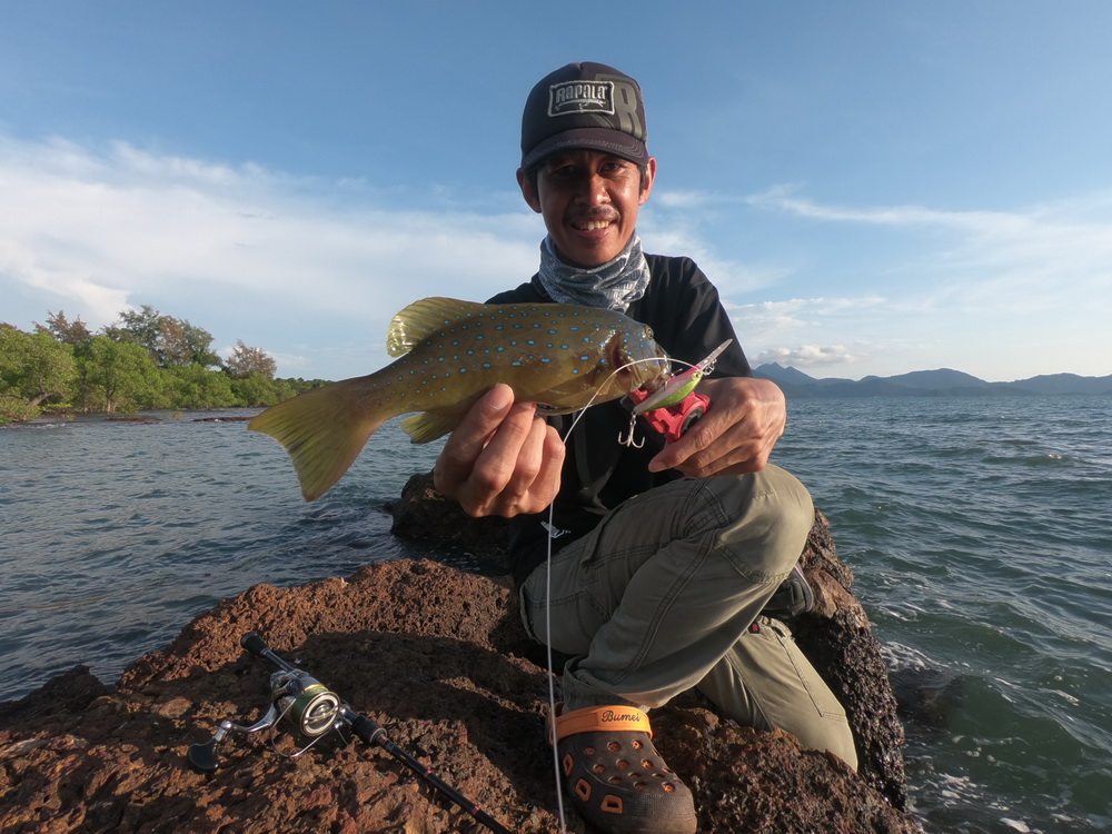 ปลา กะรังจุดฟ้า,กุดสลาดเหลืองจุดฟ้า,ย่ำสวาท 
เสื้อ Rapala caster t-shirt 
เหยื่อ Rapala shadow rap