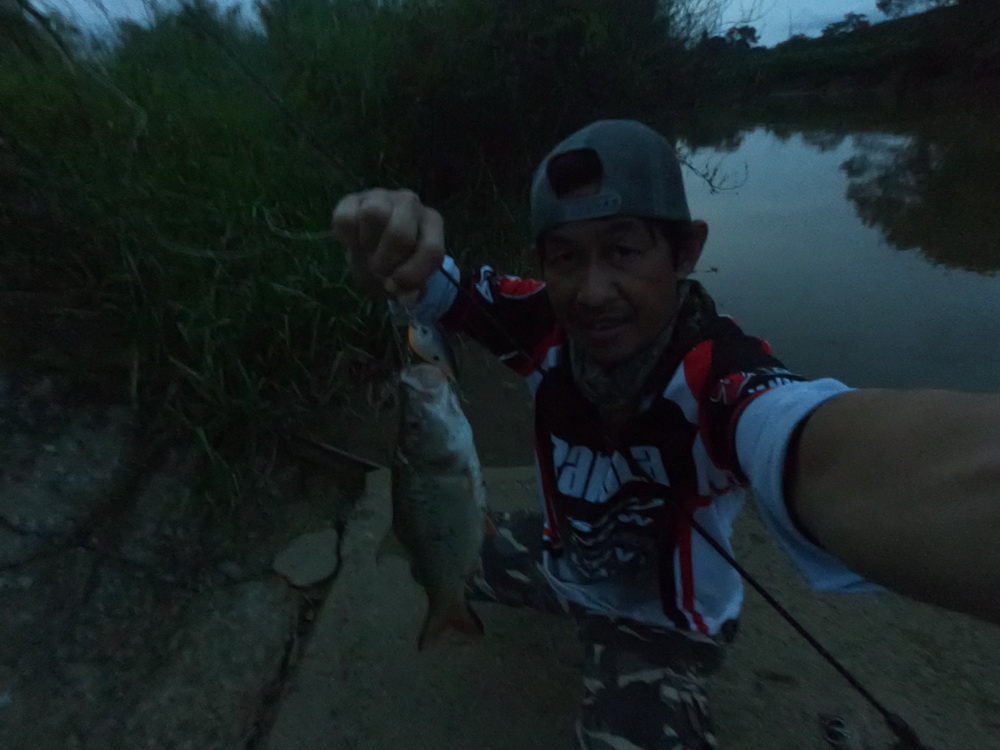 Rapala cranking rap 6cm  :cheer: :cheer: :cheer: :cheer: :cheer: :cheer: