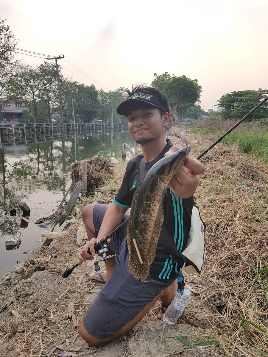 บางสถานที่ถ้าน้ำดีๆก็มีปลากระสงครับ เป็นปลาที่ดุมาก