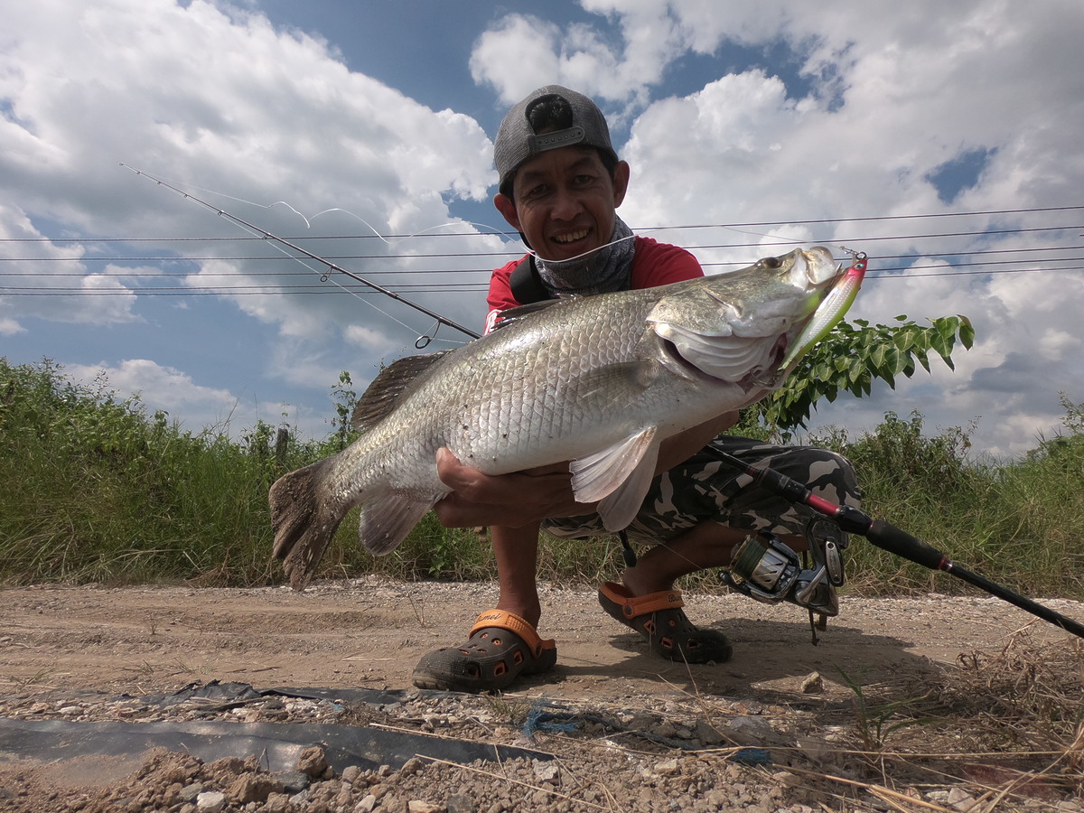ตกกระพงกับ หัวจิ๊กเทพๆ : SiamFishing : Thailand Fishing Community