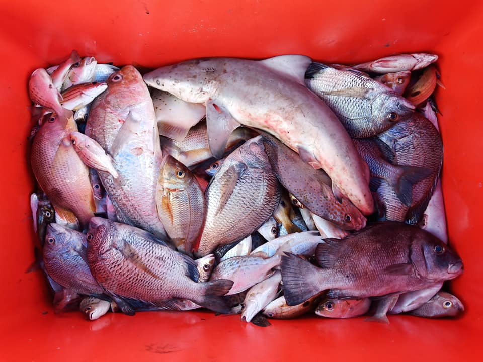 ทริปตกปลาชายฝั่งทะเลอันดามัน บ้านแหลมนาว จังหวัดระนอง