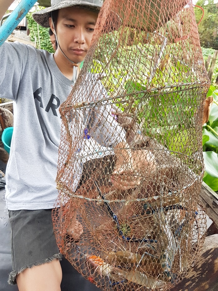 แล้วก็หมดเวลาสนุกในวันนี้ ได้กุ้งพอสมควร สำหรับมือใหม่อย่างพวกเราได้ไต๋ต้นช่วยแนะนำ ก็ทำให้การตกกุ้ง