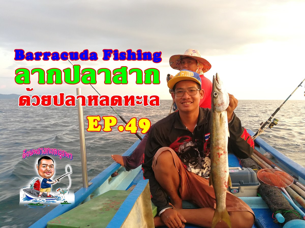 ลากปลาสากชายฝั่ง...ด้วยปลาหลดทะเล Barracuda Fishing l อ้วนพรางทะเลบูรพา 