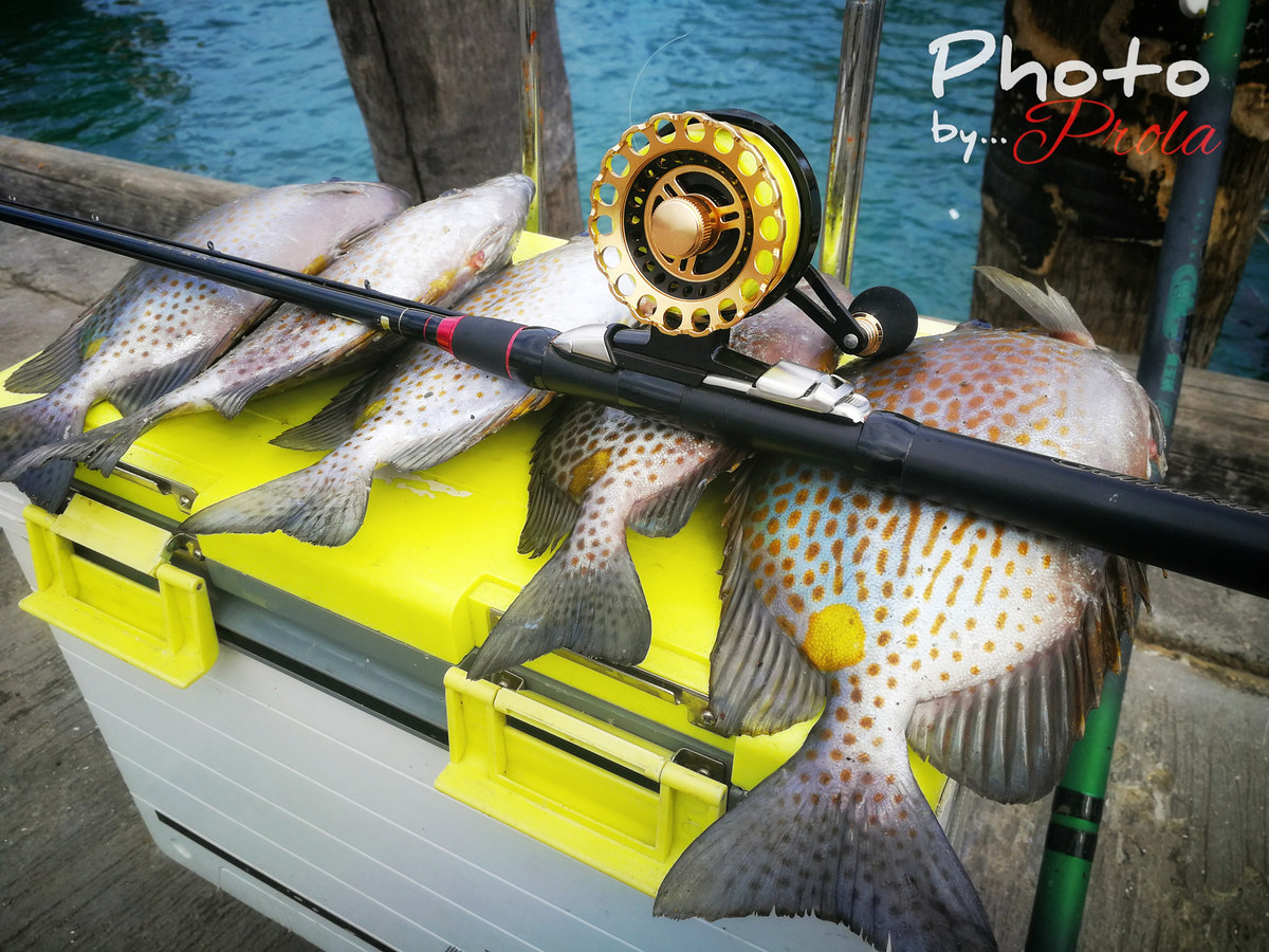 Ikada Raft Fishing เป็นการตกปลาอีกแนวที่น่าสนใจครับ