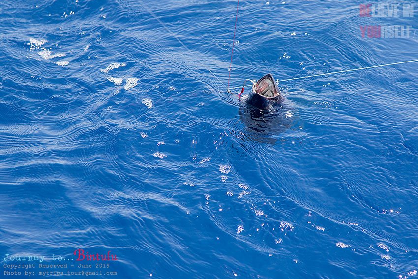 Oil Rig Fishing #6