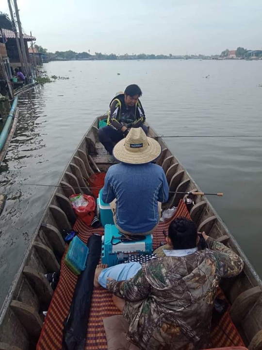 วันนี้ลงเรือกับ ไต๋ตาล สามโคก ....
ไต๋ตาลบอกเมื่อคืนลูกค้าได้ปลาสวายไป30ตัวได้
.....ผมบอกตั้งใจมาต