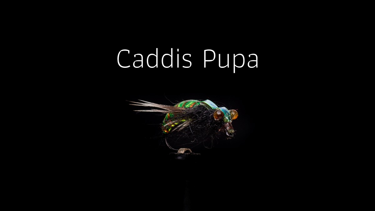ทำเหยื่อฟลาย - Caddis Pupa Fly Tying [ ฟลายพันดึก ]