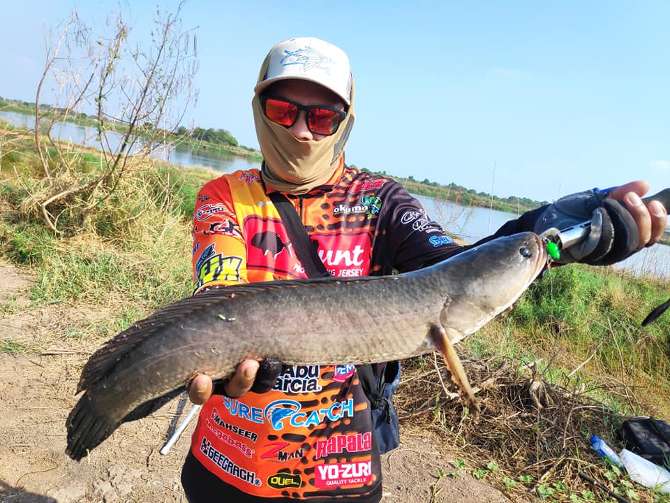 ปลาช่อนยักษ์ บ้านสร้าง ปราจีนบุรี: SiamFishing : Thailand Fishing