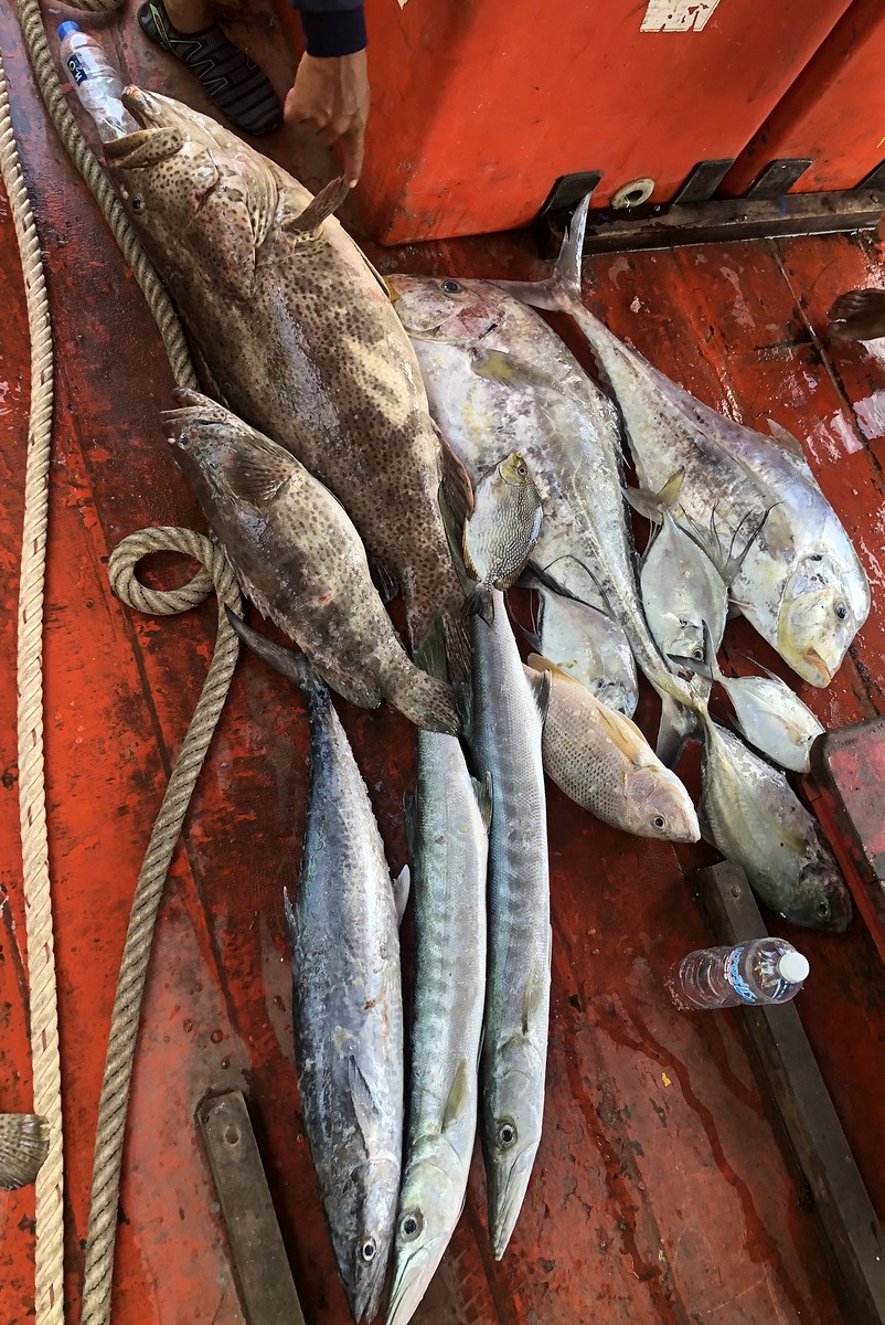 ผลประกอบการณ์ จบทริปเกาะกระ หัวไทร นครศรี
ทำกินบนเรืออีกหลายตัว
27-28มีนาคม64
 ทริปเกาะกระ ปลาก็พ