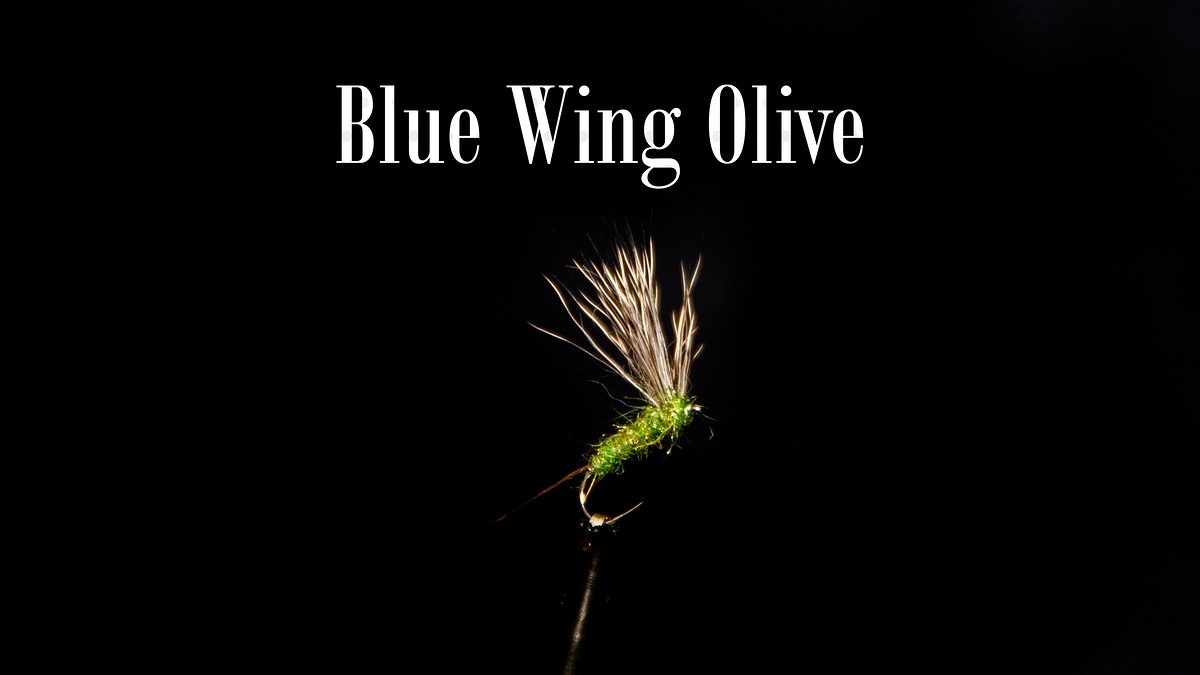ทำเหยื่อฟลาย - Bwo Blue Wing Olive Fly Tying [ฟลายพันดึก]