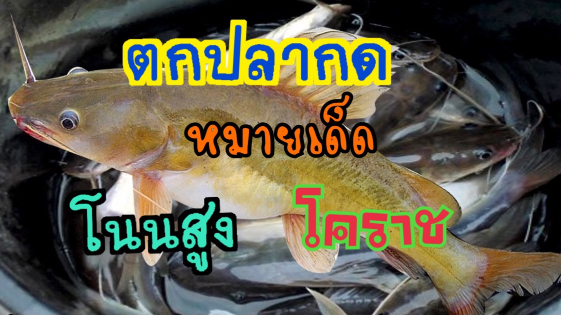 ตกปลากด หมายเด็ด 