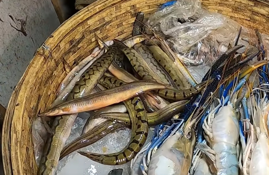 ปลาสองตัวนี้ที่เมืองธากาในประเทศบังคลาเทศคือปลาอะไรครับ