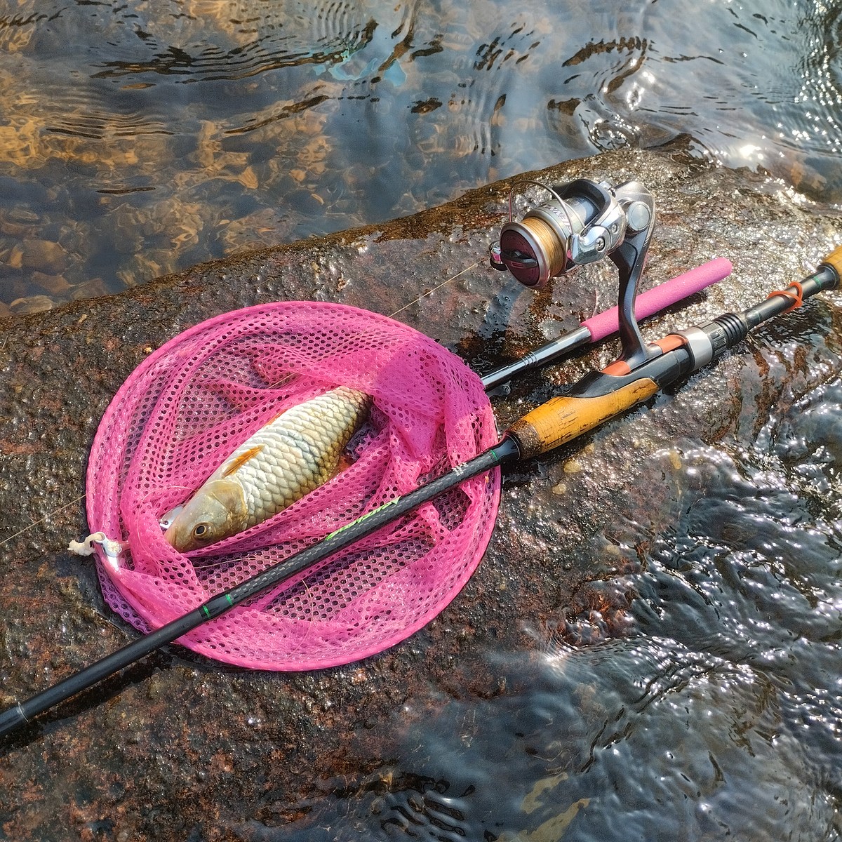 ทริปตกปลากระสูบน้ำไหล ในวันที่ได้แต่ตัวเล็กๆน้อยๆ: SiamFishing : Thailand  Fishing Community
