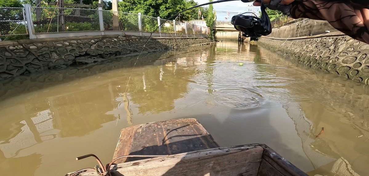 มือใหม่ เจ้าพระยาลงเรือตีเหยื่อปลอม ครึ่งวัน