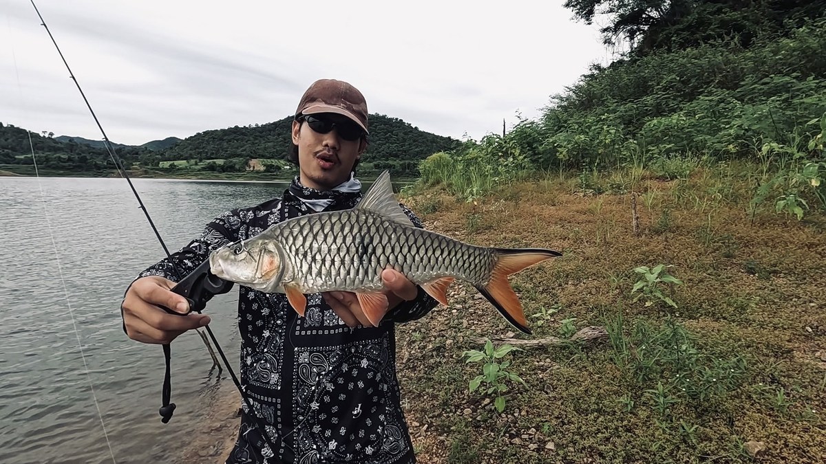 "กระสูบฝูงเดือด...ที่อ่างห้วยท่าเคย"