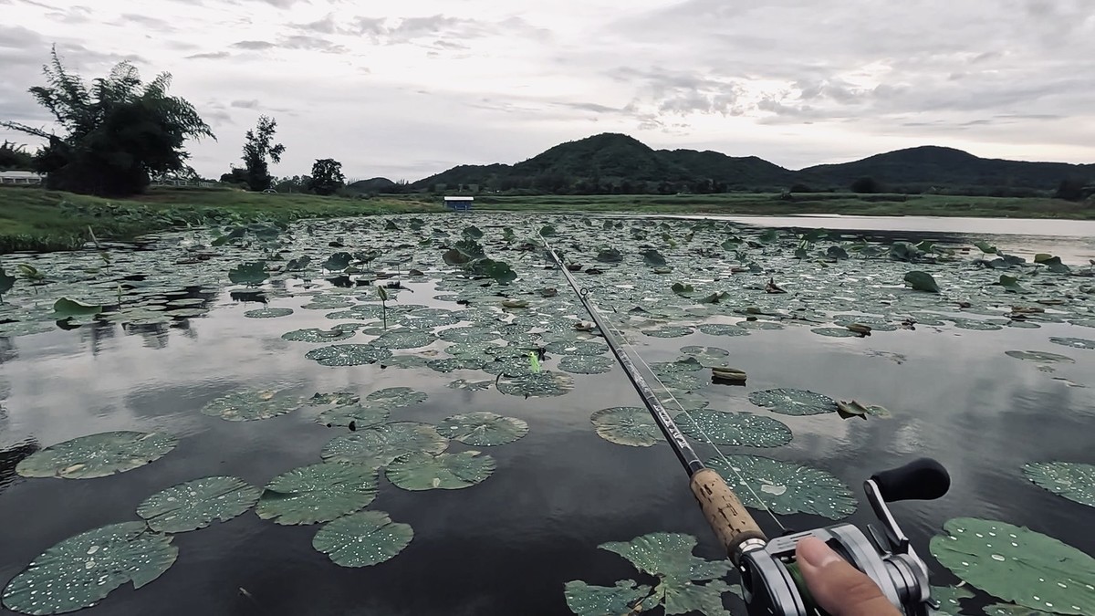 เมื่อเรือพี่ต้อมไกด์เข้ามาในระยะท