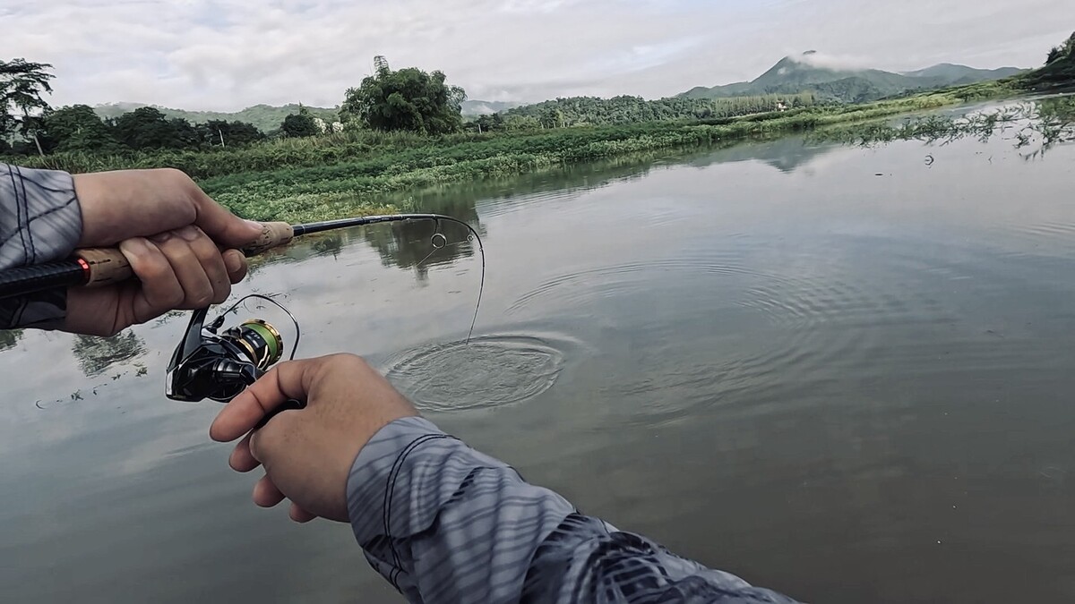 ล่องเรือลงมาทางปากอ่าว พบว่ามีปลากระสูบขึ้นน้ำอยู่พอสมควร
ปลาอาจถอยลงมาทางด้านล่าง เพราะเช้านี้น้ำด