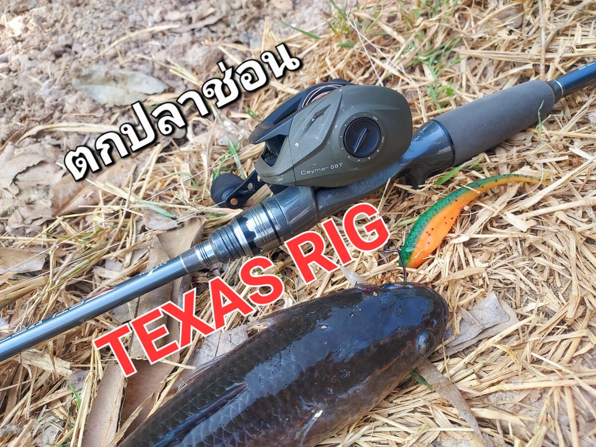 เท็กซัสริก Texas Rig นักรบย่อมมีบาดแผล