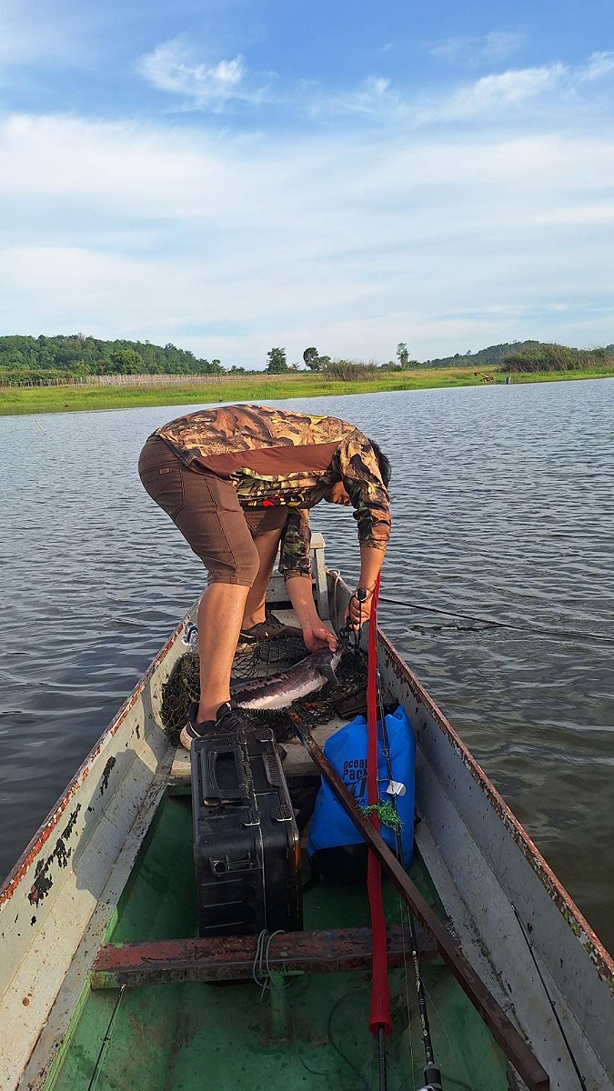 เรียบร้อย หายคอดถึงชะโดสักที