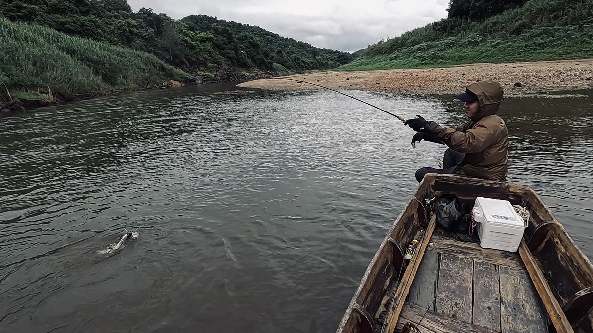 คราวนี้ถึงตาบูมโดนมั่งครับ ปลาออกแรงมุดอยู่ทางหัวเรือ 
บูมบอกว่า ตื้อๆ แต่หนักเอาการ พองัดลอยขึ้นมา