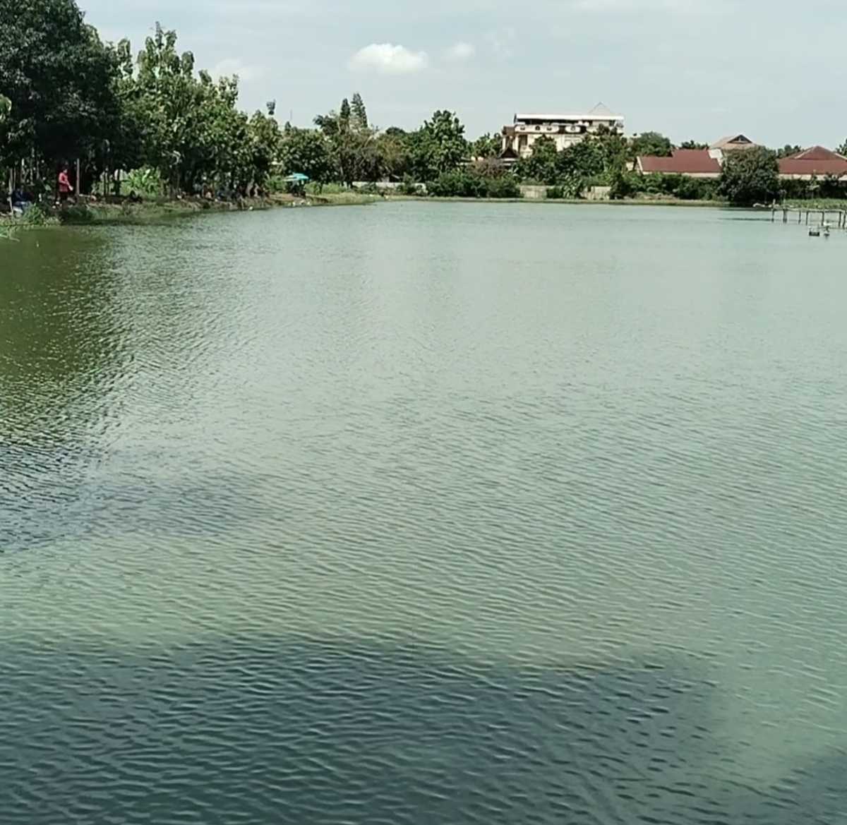 ปลาเยอะ