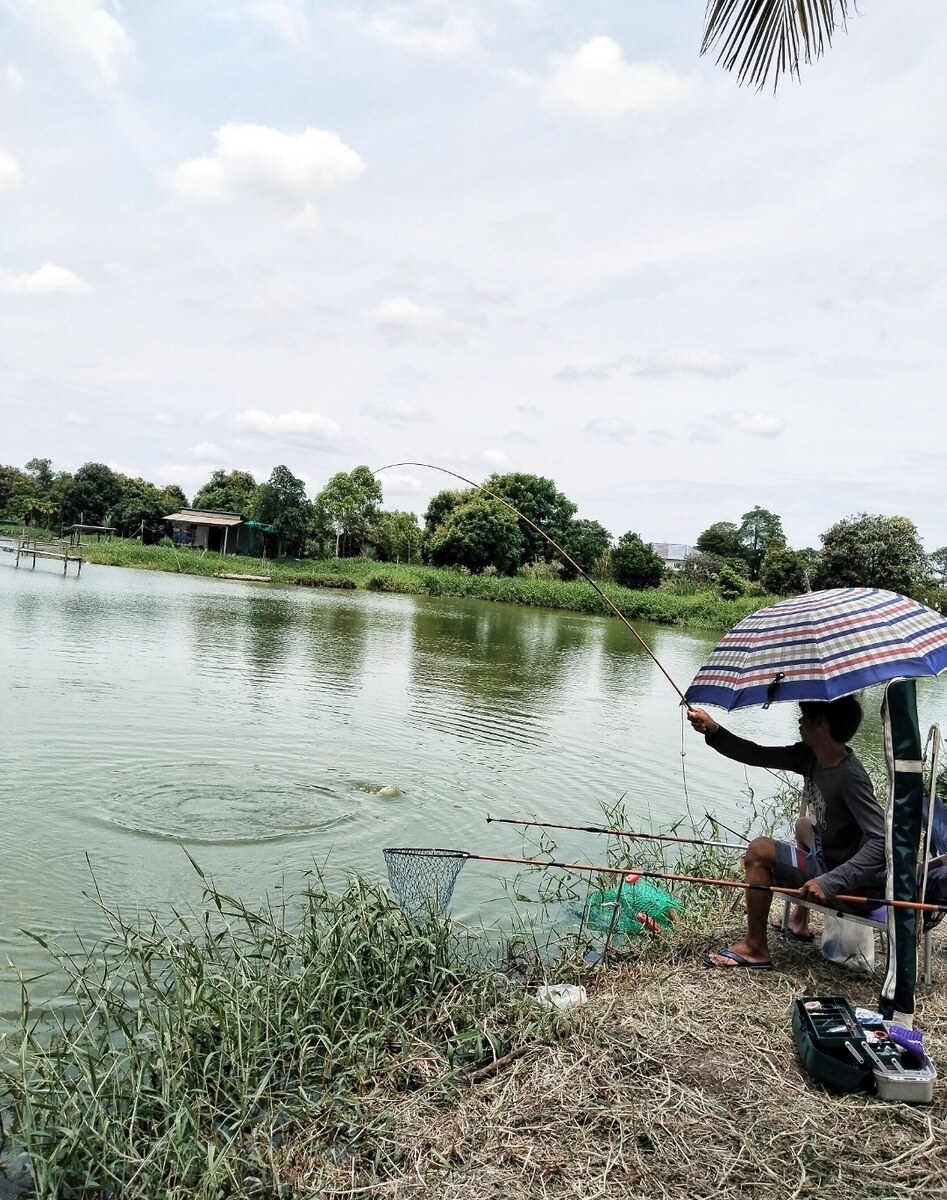 [q][i]อ้างถึง: เซียนซ้าย posted: 7 ก.ค. 68, 14:53[/i]
บ่อนี้มีปลาอะไรบ้างครับ ใกล้บ้านด้วยน่าสนใจ :