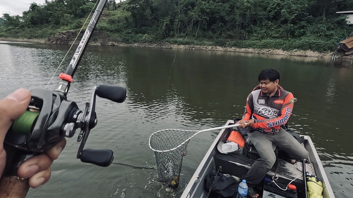 ปลาช่อนไม่ใช้ปลาที่สู้เบ็ดได้หนักมากมายอยู่แล้ว  
คันเบ็ดเวท 8-18 lb ของผมสามารถปิดเกมมันได้
ภายใน