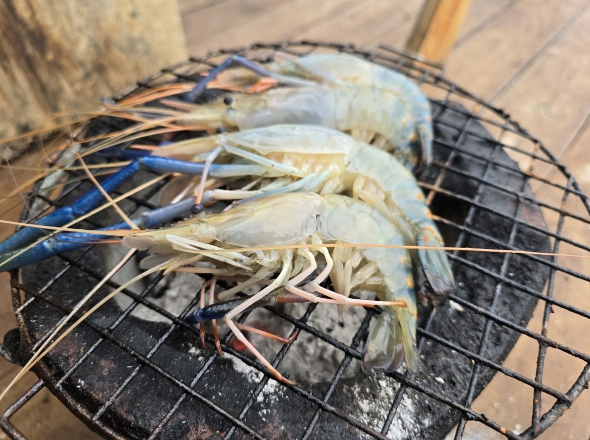  [b]กุ้งสดๆเนอะ[/b] :cheer: