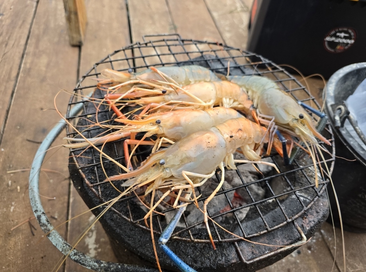  [b]ปลาอาจไม่ได้ชมผมให้ชมกุ้งไปก่อนน่ะครับอย่าว่าการรร[/b] [i]55555[/i] :cool: