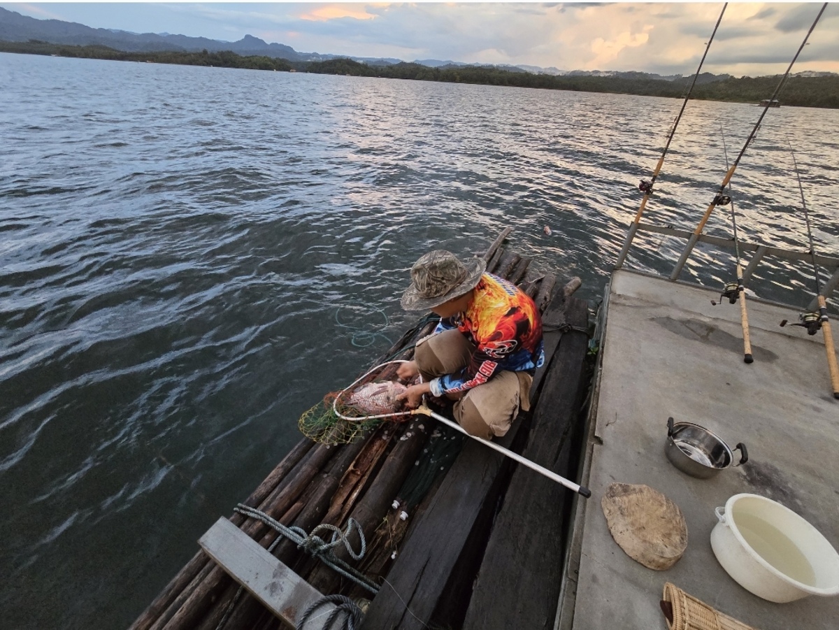  [b]ทำปลาหลังผายุเข้าครับเก็บข้าวของ