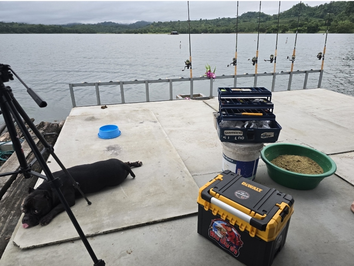  [b]เตรียมผสมเหยื่อ[/b] :cheer: