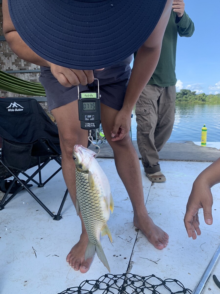  [b]ทีมน้าพั้ชน์จัดตะเพียนอีกครับ[/b] :cheer: [i]พึ่งขึ้นก่มากี่นี่[/i] :cheer: