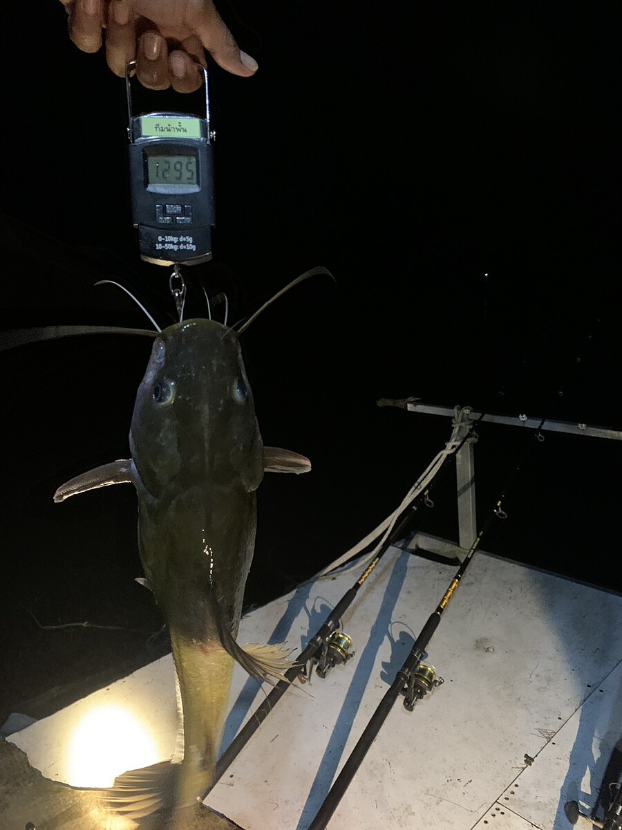  [b]น้าพั้ชน์จะปลากดขึ้นมากอีกช่วงหั