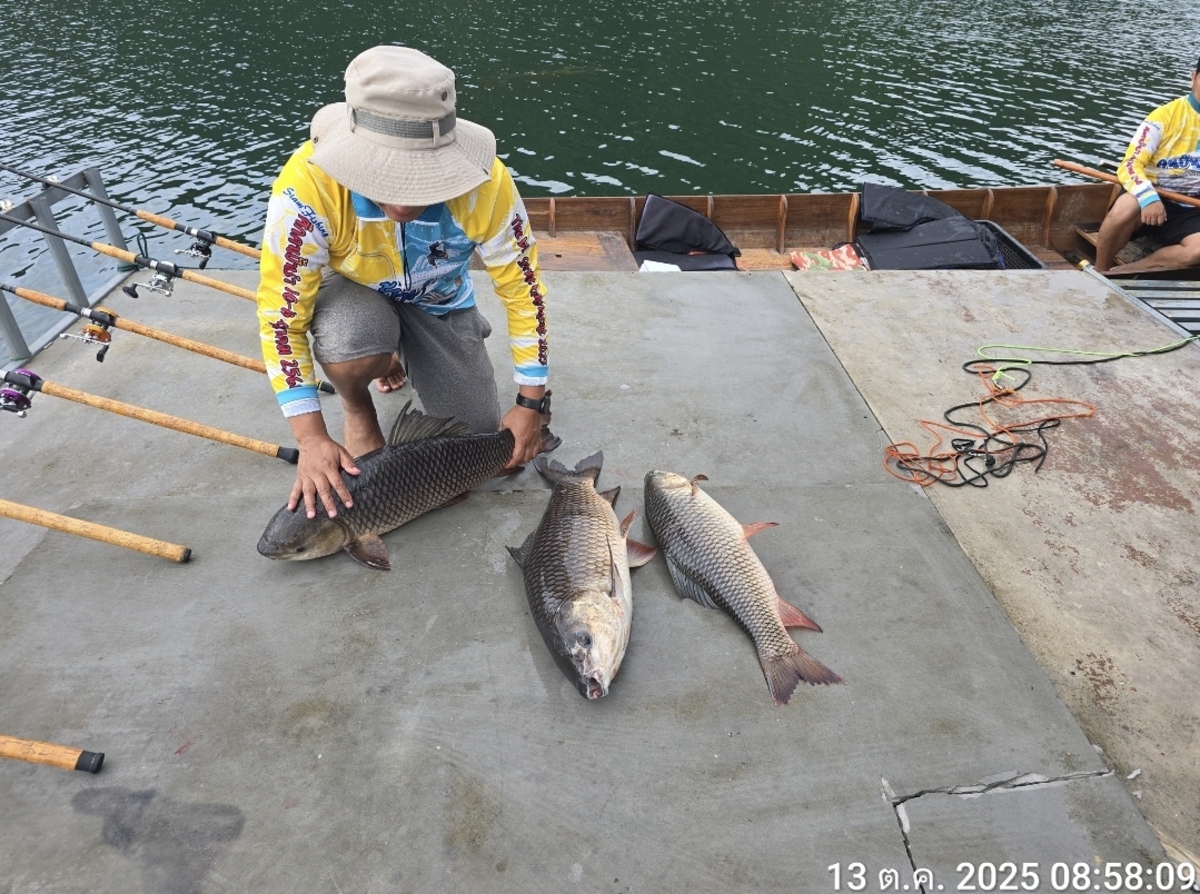  [b]ตั้งแบบนี้ดีกว่าน้าต้นครับเคๆเอา