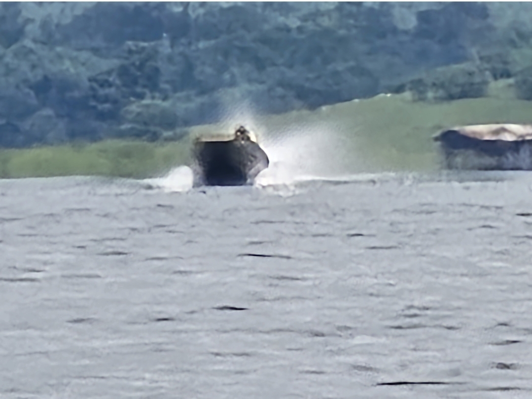  [b]ซูม100[/b] :cheer: