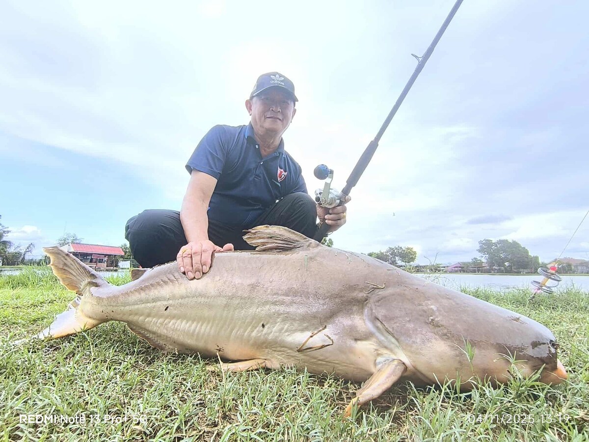 ปลาบ่อนี้กินเหยื่อดี กินไม่หยุดเลย เหนื่อยสิครับ