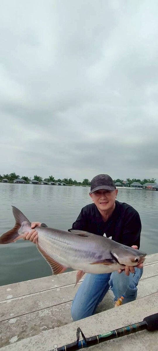 พี่หวาย