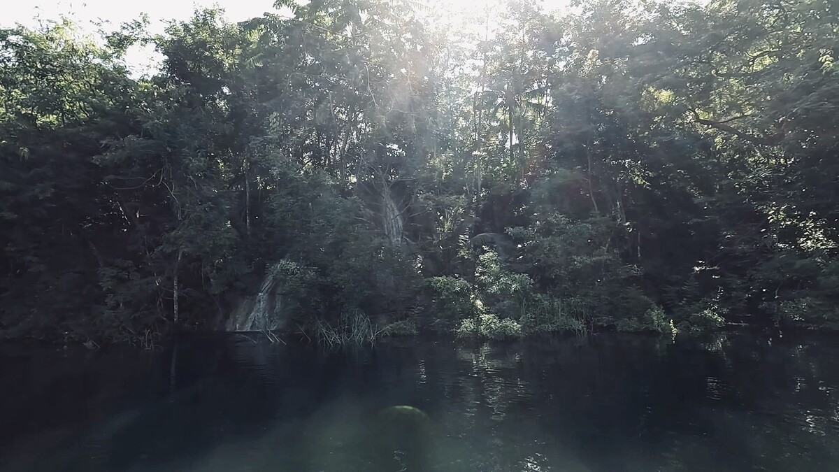 พอสายหน่อยลมเริ่มแรง เราลอยลำตีตามเกาะยากมาก 
ไต๋แร่จึงเบนเข็มพาเราเลาะตีปลาจรตามชายฝั่ง 
หมายที่เ