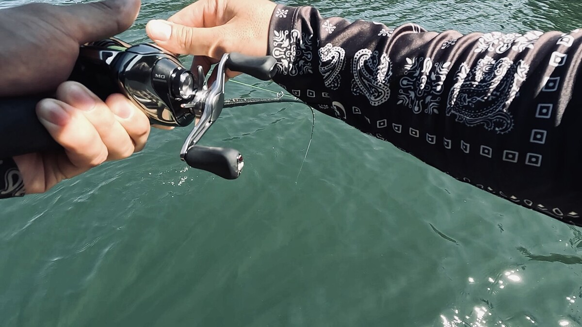 ตอนนั้นปลายสายคล้องเหยื่อ Deps slide swimmer 115 ไว้ 
ผมลองตีเล่นๆแล้วออกแอคชั่นเหยื่อมาเพลินๆ 

