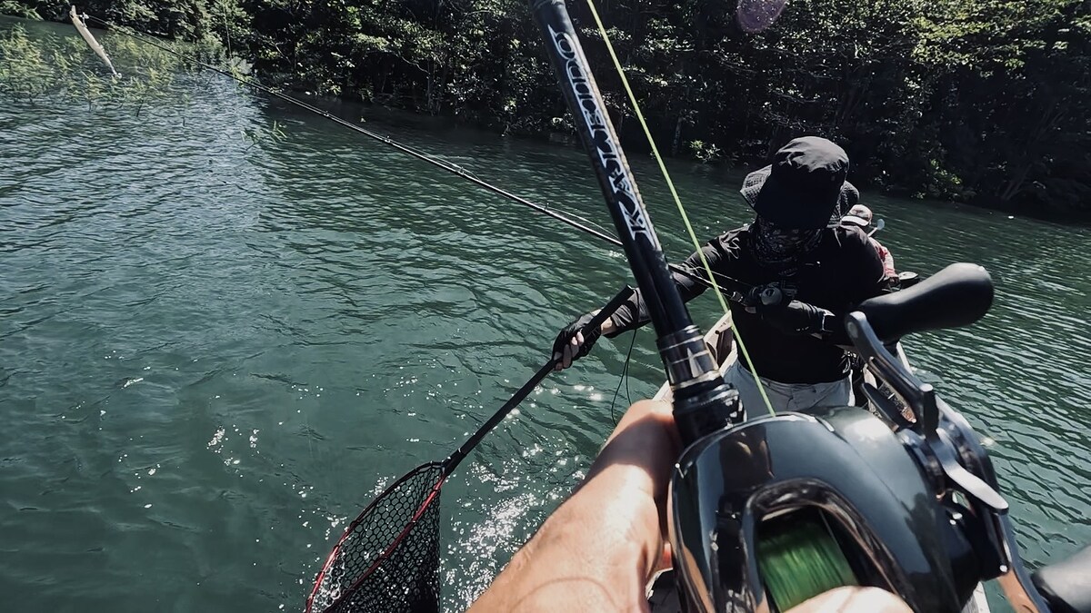 ผมอัดมันมาข้างเรือ จนเห็นว่ามันเป็นปลาชะโด 
ขนาดน่าจะราวๆ 2 KG ได้ มันกัดเหยื่อเข้าไปเต็มๆ

กลืนเ