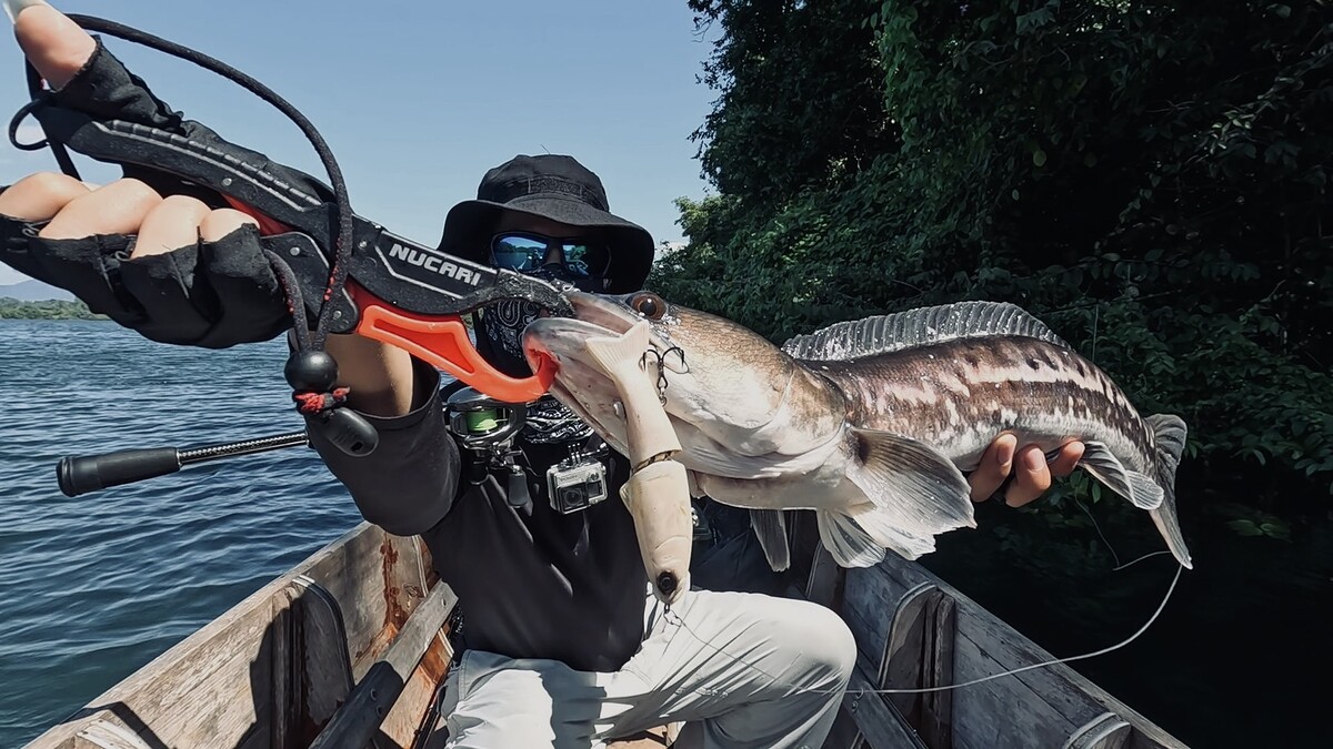 ดูให้ชัดๆว่ามันกัดเหยื่ออะไร :grin: :grin: :grin: 
ตัวนี้ของบูมบอกเลยว่าอย่างเท่  :laughing: :laugh