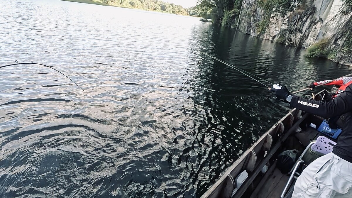 พอปลาเข้ามาใกล้เรือจึงเห็นว่า มีปลากระสูบอีกตัวว่ายตามมาจะแย่งเหยื่อ 
ผมร้องบอกให้บูมรีบส่งเหยื่อเข