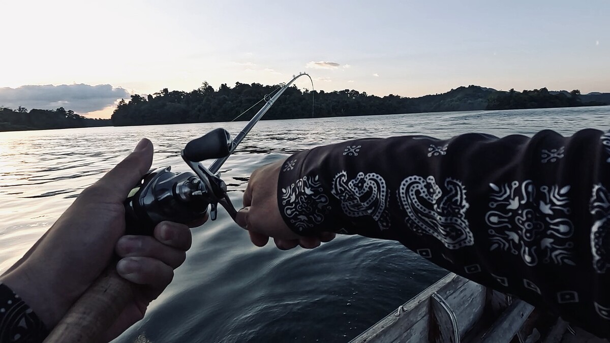 พอพระอาทิตย์เริ่มคล้อยลงต่ำ ไต๋แร่ก็พาเรามาไล่ฝูงกระสูบ
เมื่่อเห็นฝูงขึ้นน้ำ ไต๋ก็จะบึ่งเรือเข้าใส่