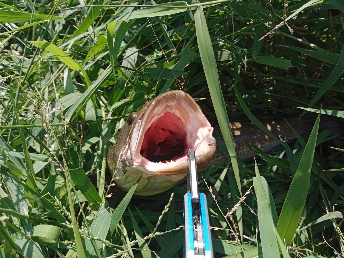 ส่งสุดสาย  :grin: :grin: