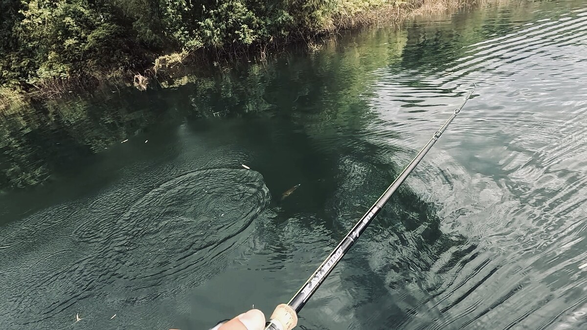 เราไปพักทานข้าวเที่ยงที่แพมาลัย แล